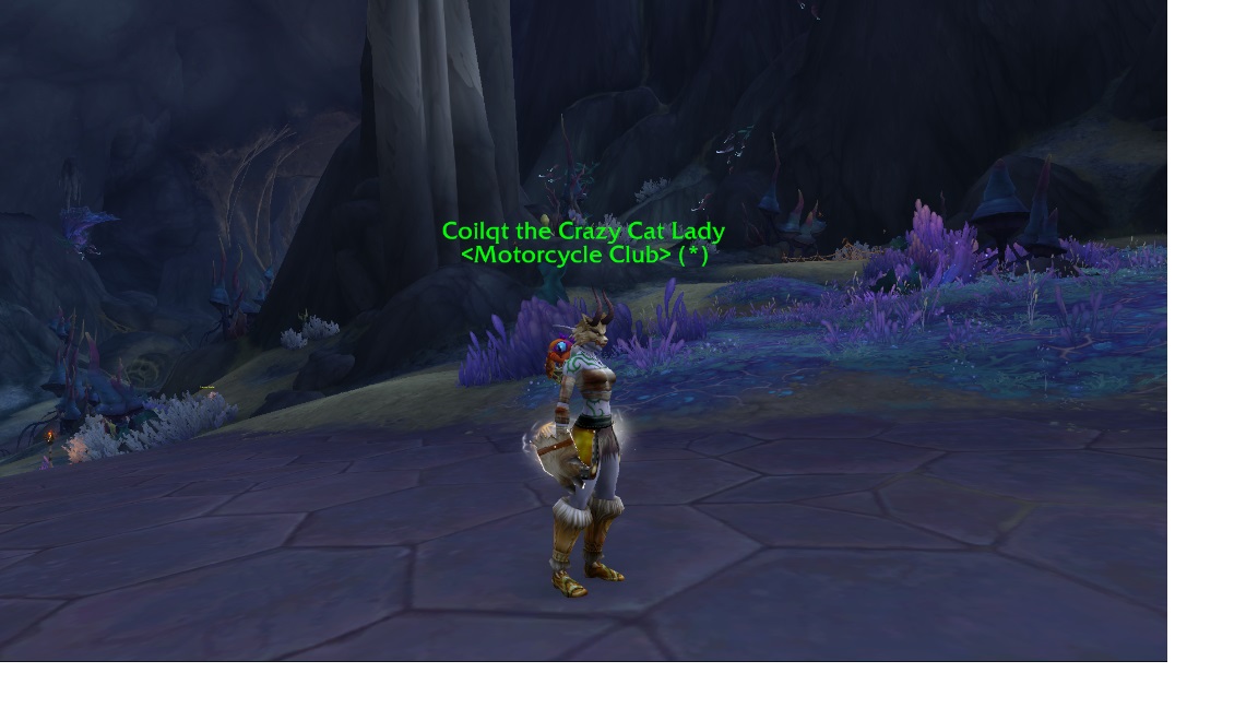 dh mog.jpg